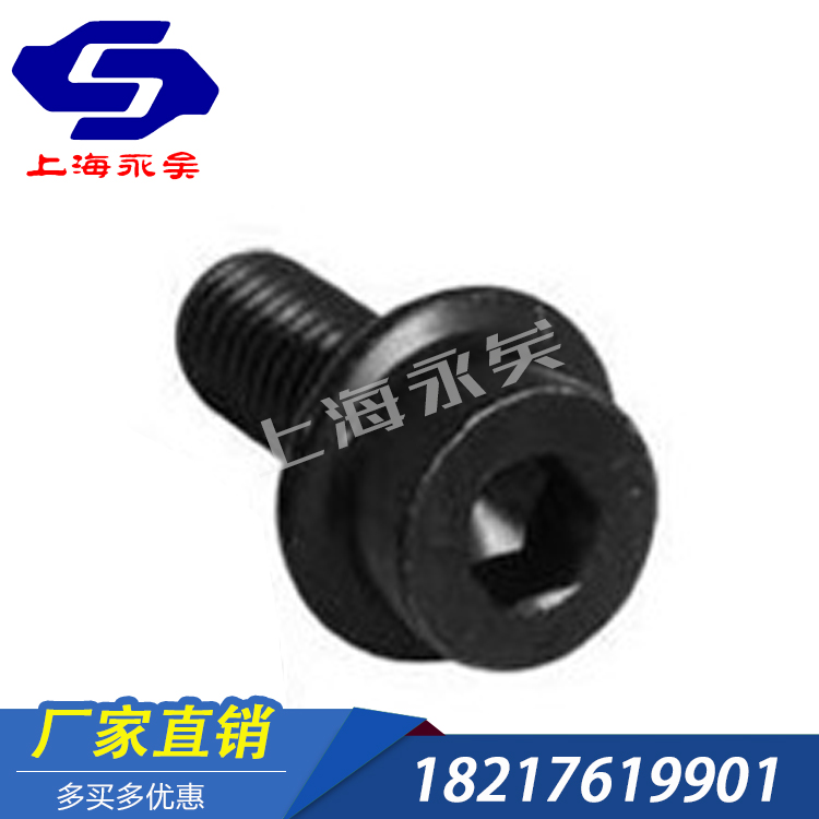 DIN251內(nèi)六角法蘭面螺釘 8.8 10.912.9 非標(biāo)定制